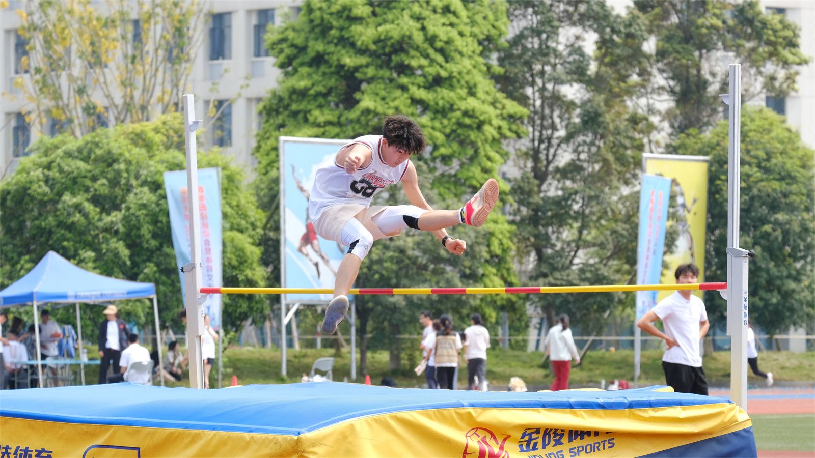 1713146484169104.jpg WechatIMG2064.jpg