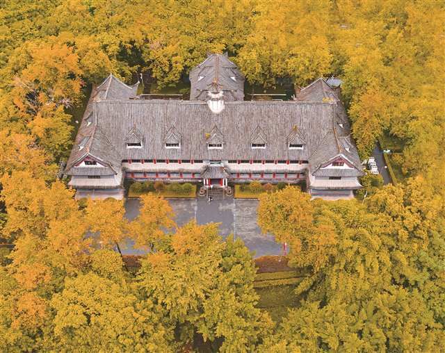 1737430269235130.jpg 2025-01-21-0242.jpg