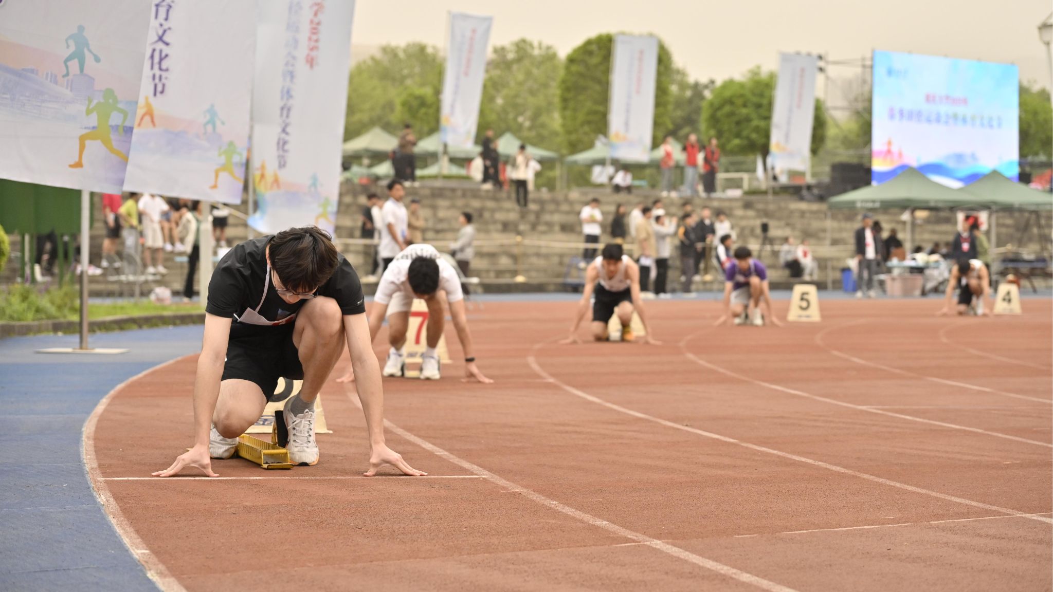 1744465283849855.jpg 1.JPG